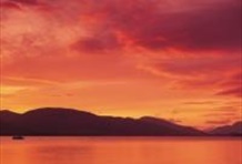 Stirling Castle, Loch Lomond Park & Whisky Tour